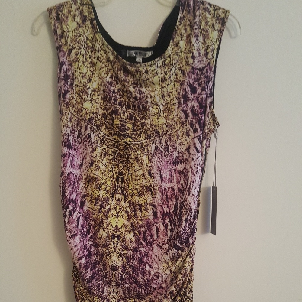 Multicolor Jennifer Lopez Dress